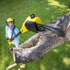 Best Aeration Services  in Old River Winfree, TX